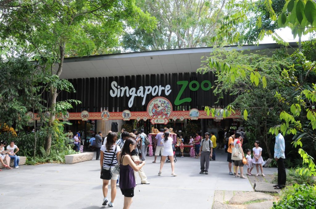 visitar zoo singapur