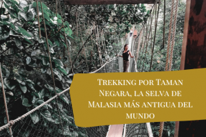 trekking selva Malasia