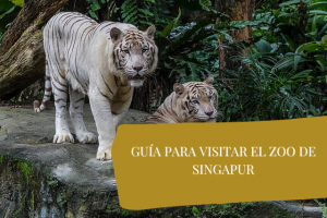 guía zoo singapur